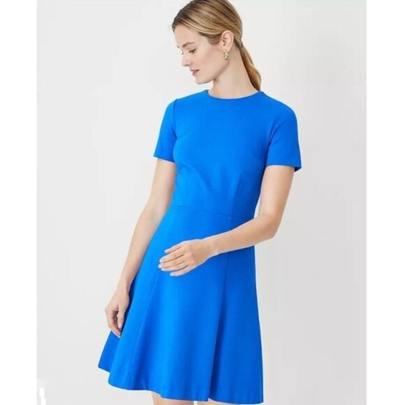 Ann Taylor Paneled Flare Dress 4 - Picture 3 of 3